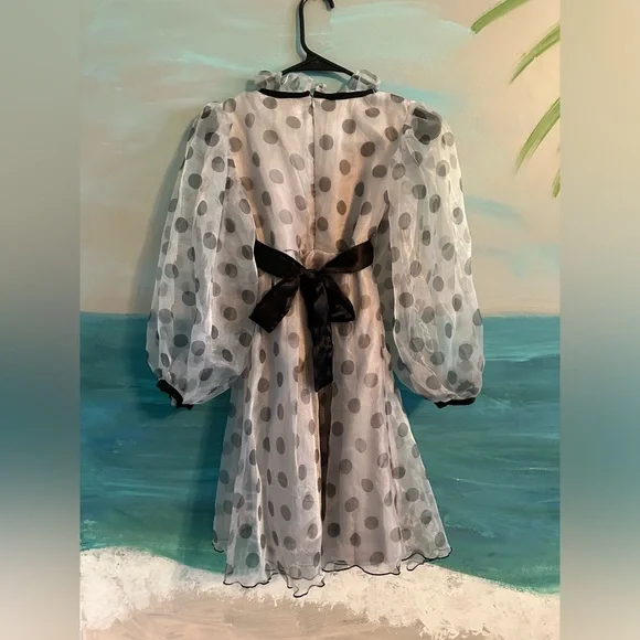 Fairies Forever, Organza Polka Dot Flared Dress Steel Gray Size 10-11 Years - Picture 3 of 6